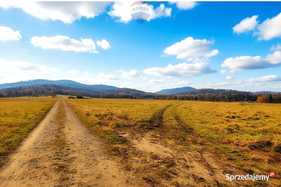 75 arów słońca i przestrzeni w Milówce Milówka sprzedam