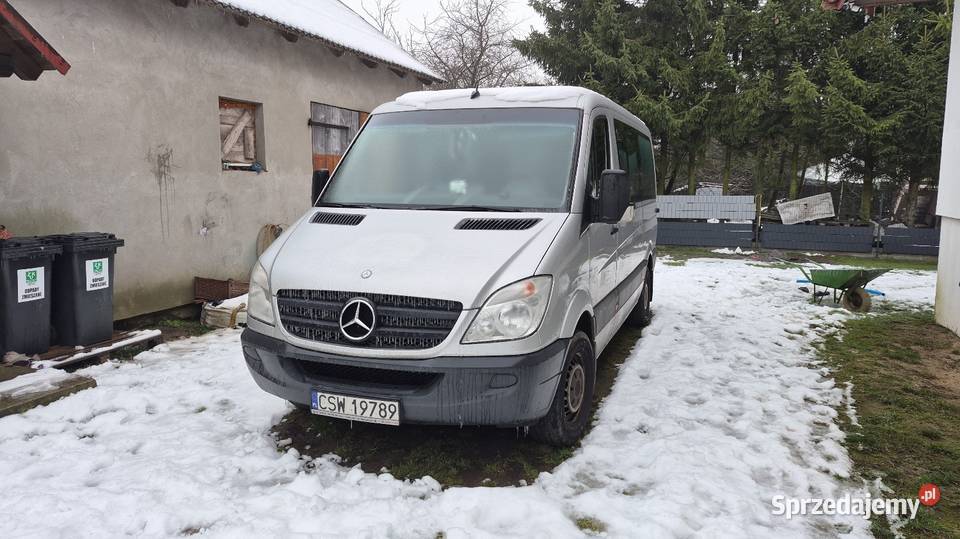 2 w pakecie CrafterSprinter kujawsko-pomorskie Świekatowo