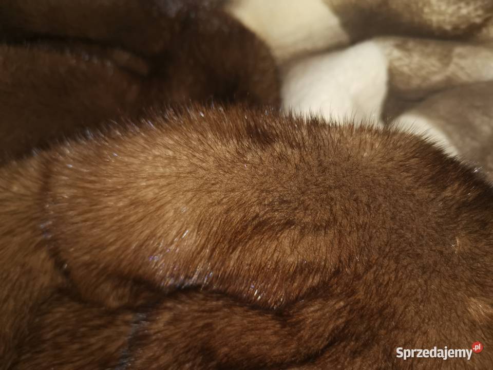 futro epilowane z bobrów Pruszków