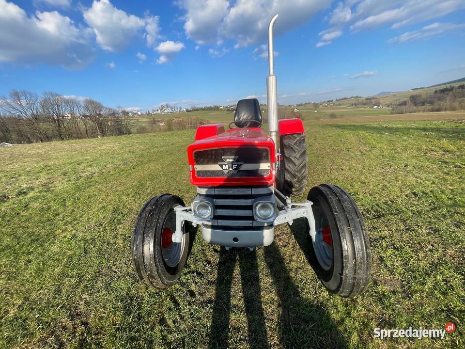 Massey Ferguson 135 Nowy Sącz