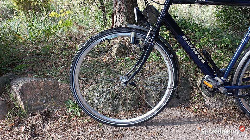 Alu Rower Miejski Męski Holender Batavus Jakima dolnośląskie Wołów