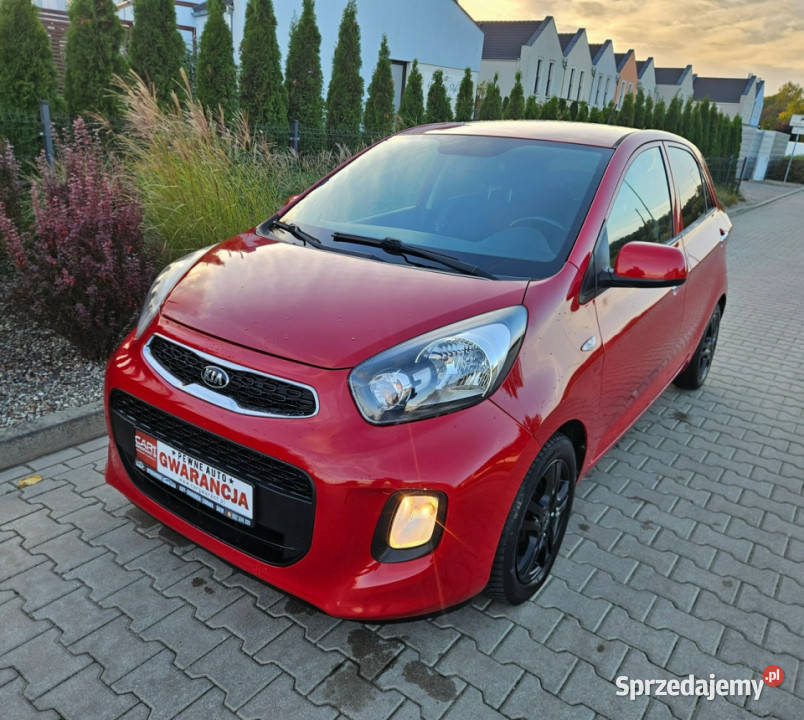 Kia Picanto Zadbany Lift Oryg73 Rata500 II 2011 Hatchback Picanto Śrem