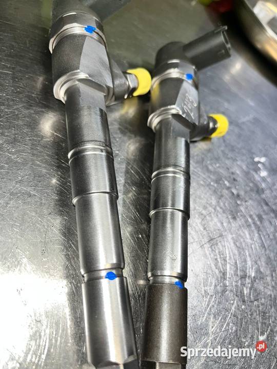 Wtryskiwacz Regenerowany Wtrysk Opel Fiat lubuskie Słubice sprzedam