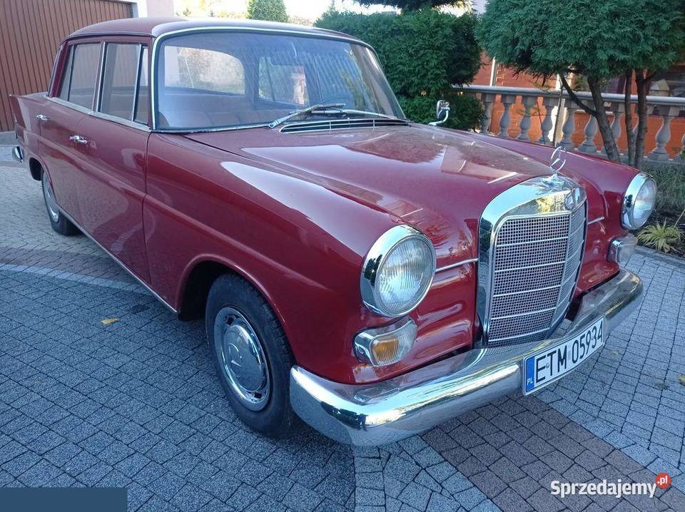 MercedesBenz 20d 55 1967r renowacji Tomaszów Mazowiecki sprzedam