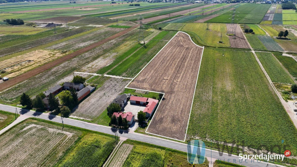Sprzedaż działki Pogroszew Nowowiejska 23729m2 mazowieckie