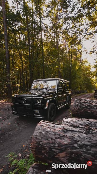 Mercedes Benz G500 4x4 AMG ESP lubelskie Krasnystaw