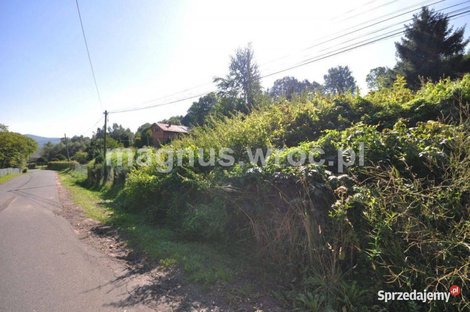 Urocza działka w Grzmiącej z wydanymi warunkami dolnośląskie Grzmiąca