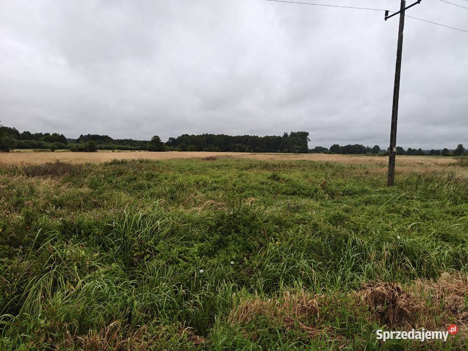 Uslugi koszenie nieuzytkow trawy mulczowanie Busko-Zdrój