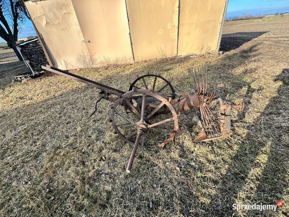 Konna kopaczka do ziemniaków wielkopolskie Nagradowice