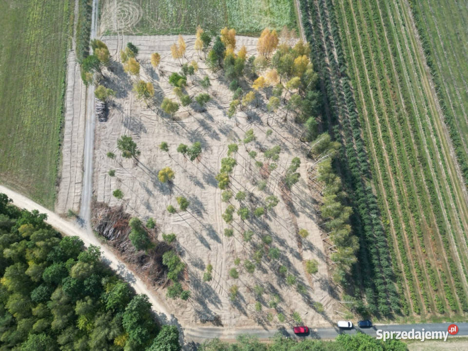 Działki budowlane na sprzedaż40min Pruszkowa 87zł/m2 Pruszków