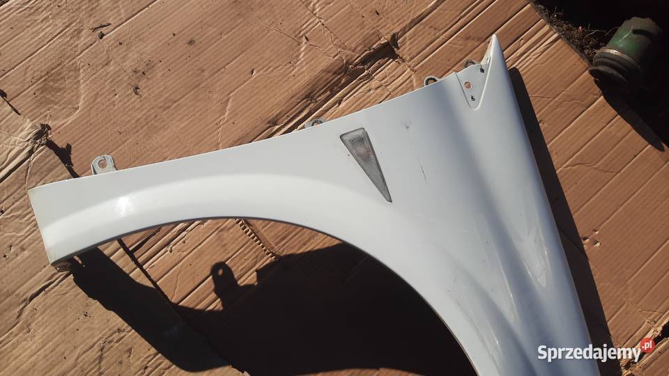 lak DV369 błotnik lewy Renault Megane II 2 BIAŁY dolnośląskie Dębno