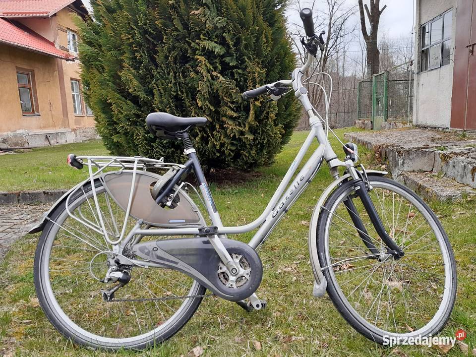 Gazelle Przywieziona z Holandii Korbielów