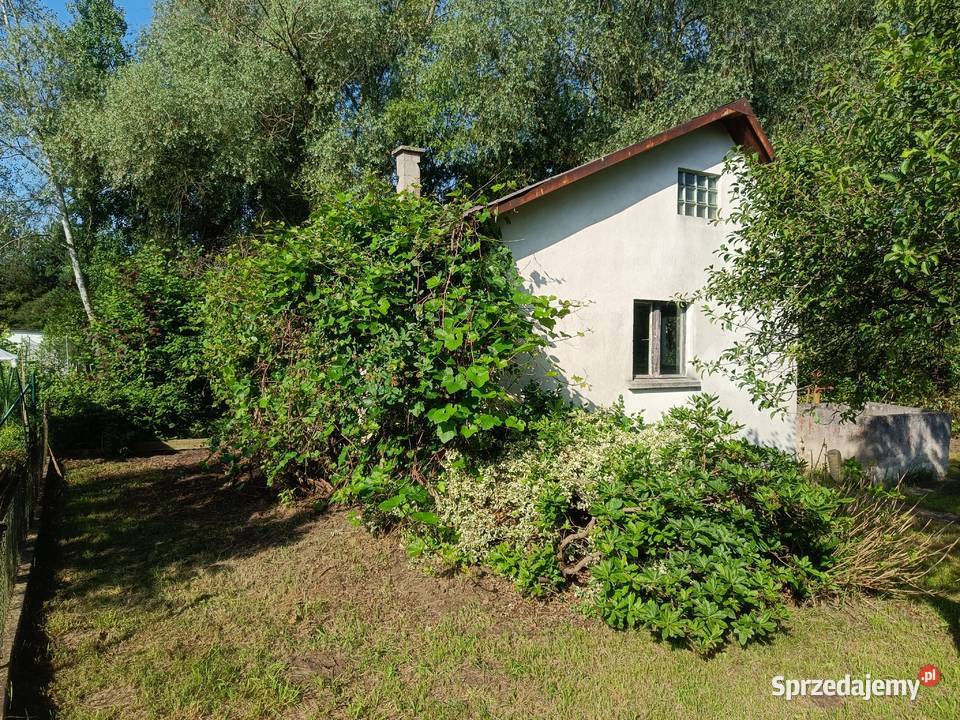 Odstąpię działkę ROD Wojnów Ubocze 350m2 Sprzedaż Wrocław