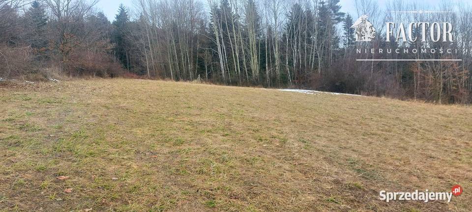 Działka budowlana 107 ha Siary gm Sękowa