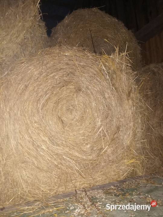 Siano i słoma w belach 130120