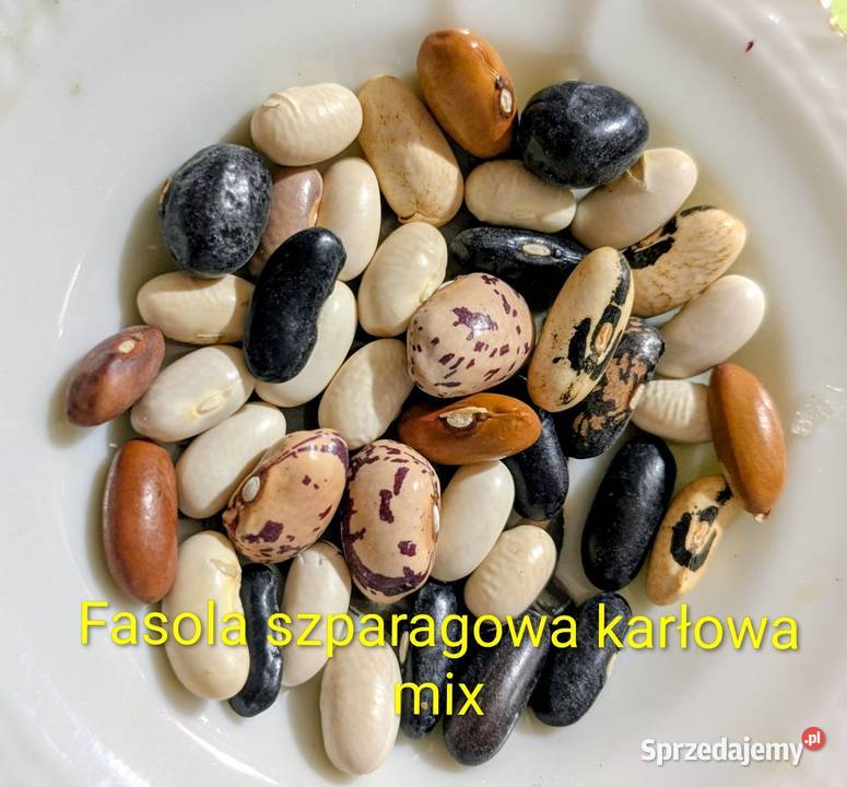 Fasola szparagowa karłowa mix małopolskie Kraków