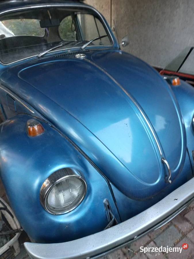 garbus piekny 54 letni łódzkie Radomsko