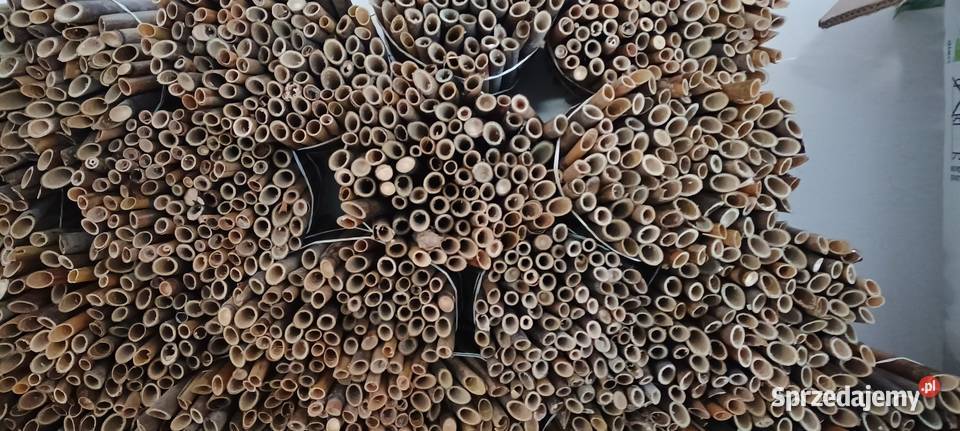 Trzcina pszczoła murarka słomki faktura Vat RR lubelskie Buchałowice