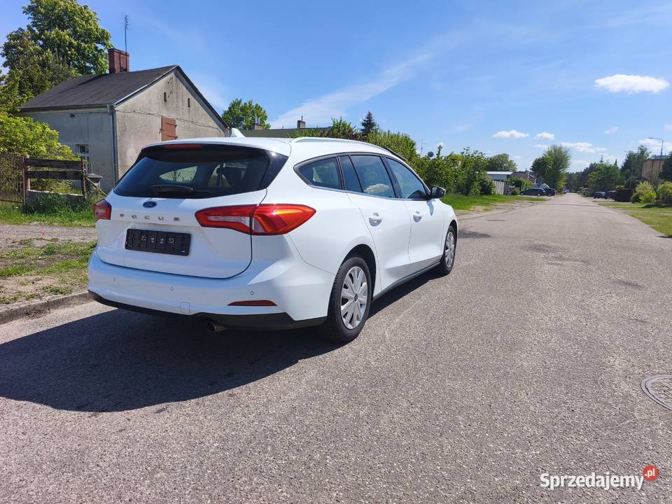 Ford focus titanium 2019 Piła