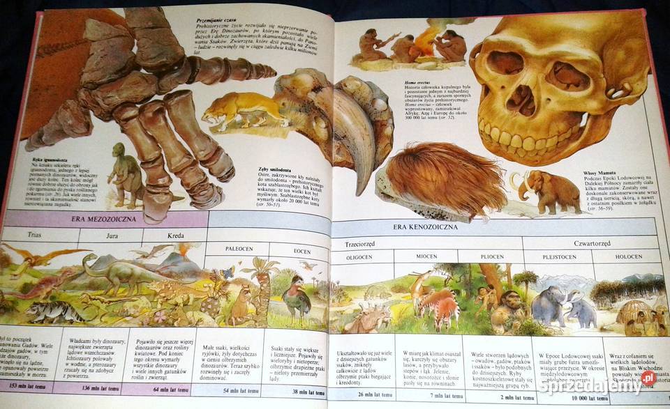 Życie prehistoryczne Steve Parker Chełm