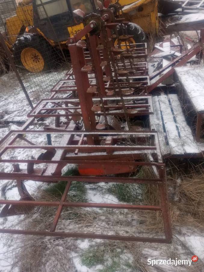 Sadzarka do ziemniaków podkiełkowanych Kostrzyn