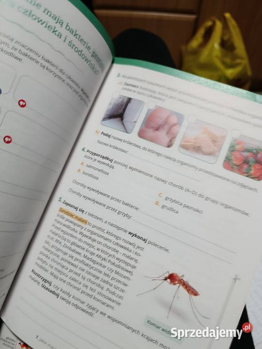 biologia bez tajemnic 5 klasa Kultura i Rozrywka