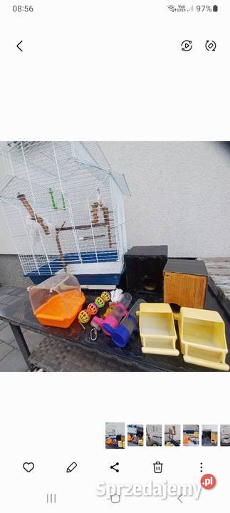 Klatka ptaków Dla ptaków Bobrek-Kolonia