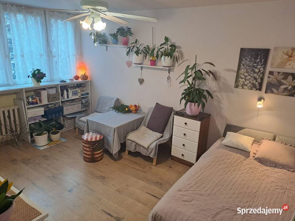 ładna kawalerka remoncie na Dąbrowie Sprzedaż Łódź