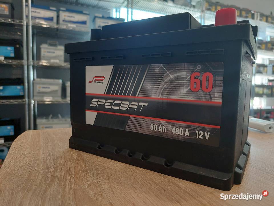 Akumulator SPECBAT 60Ah 480A EN PRAWY PLUS niski Grudziądz