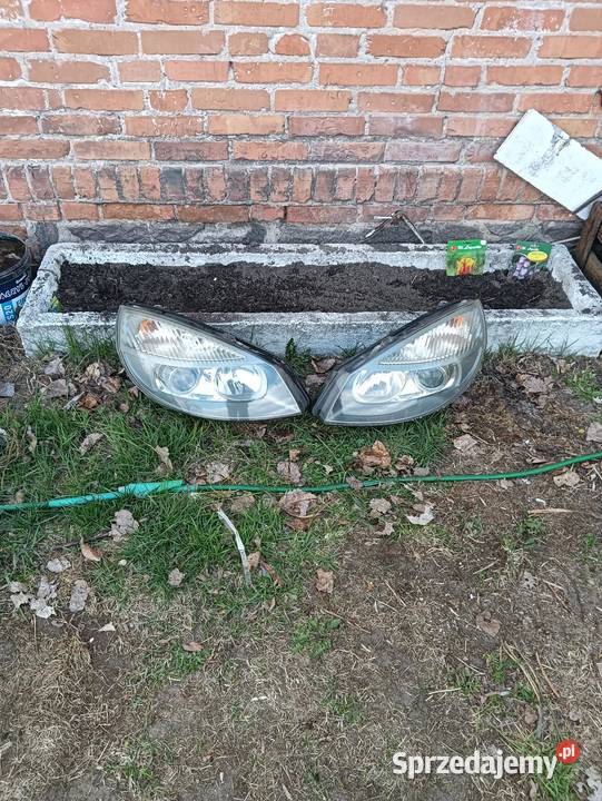 Lampy Scenic II Xenon całe kompletne eu Poniec