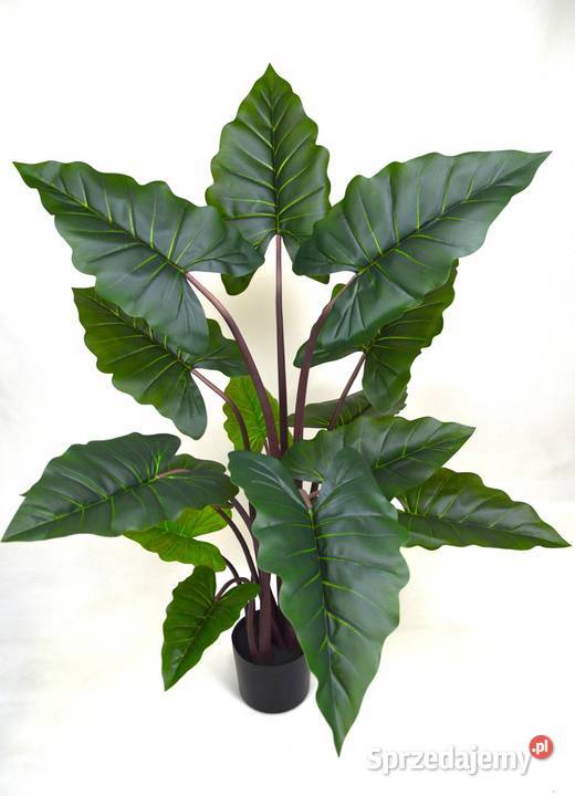 Alocasia sztuczne drzewko kwiat w donicy 150 Wąbrzeźno