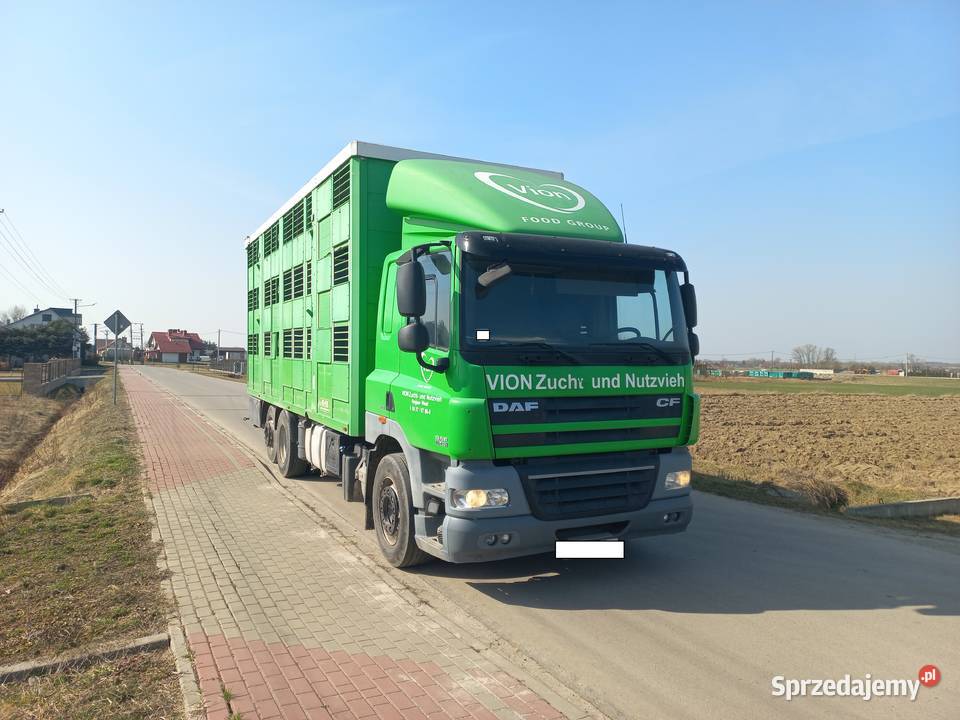 Daf CF 85410 6X2 do żywca i trzody chlewnej 3 tachograf
