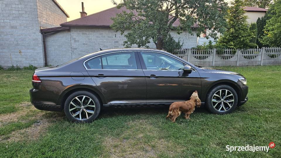 Volkswagen Passat B8 20 VW TDI 150 2018 tempomat łódzkie Bełchatów sprzedam