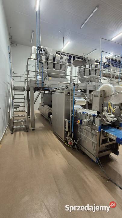 Kompletna linia do produkcji frytek Hydrocutting Krotoszyn