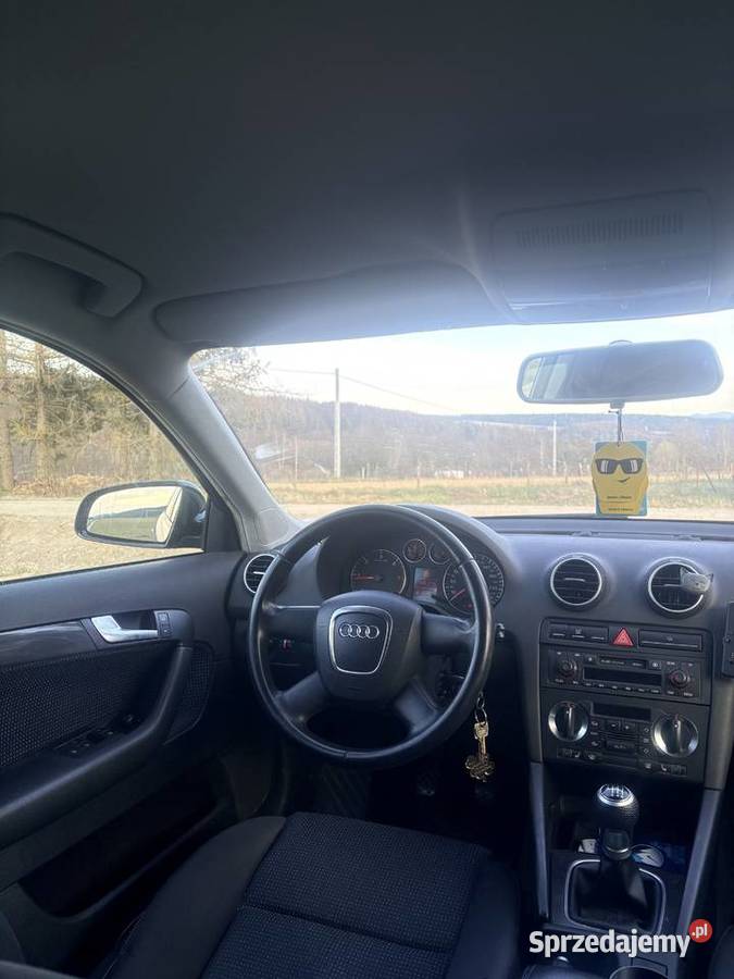 Audi A3 8P 20 TDI quattro podkarpackie Czystogarb