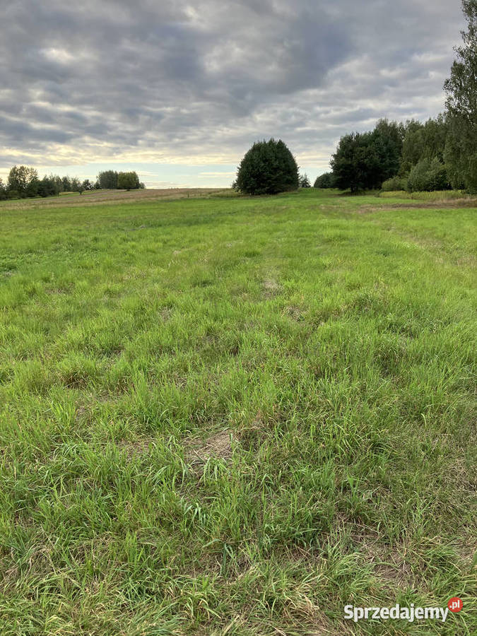 grunt rolny i łąki 62500m2 Kolbuszowa Górna sprzedam
