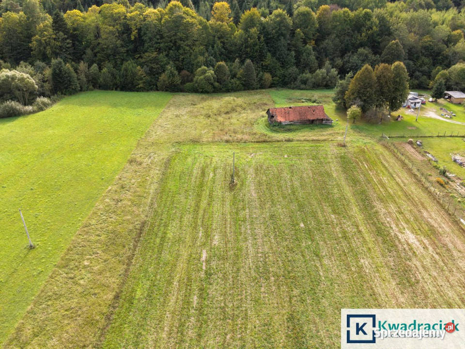 sprzedaży działki Zawadka 7960m2 7960m2