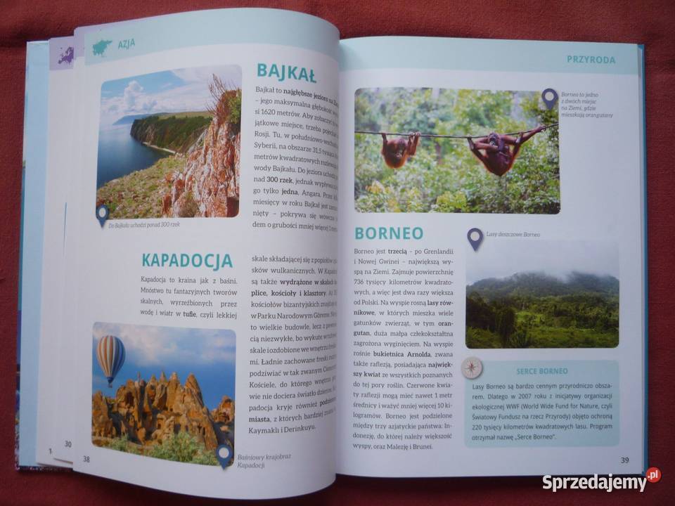 NOWA Encyklopedia kontynentów Kultura przyroda twarda