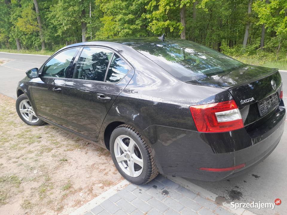 Skoda Octavia Salon Polska Dębno