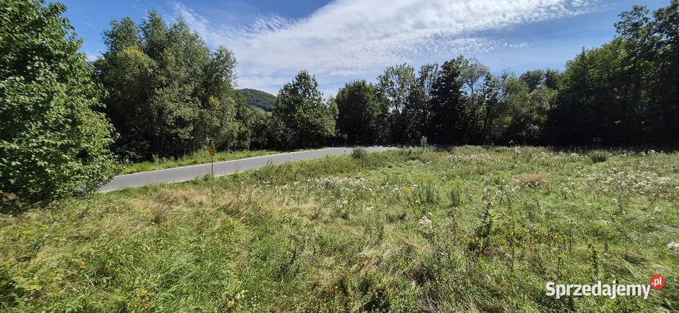 Działka 1885 m drodze uzgodniony zjazd z drogi dolnośląskie Wojcieszów