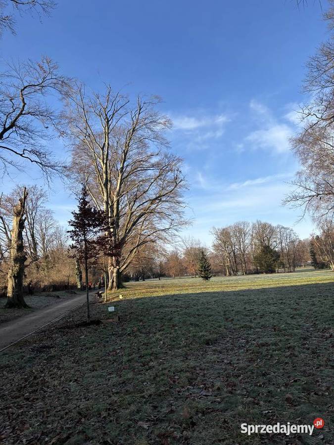 Mulczowanie koszenie wycinka darniowanie usługi Tarnów prace ogrodowe