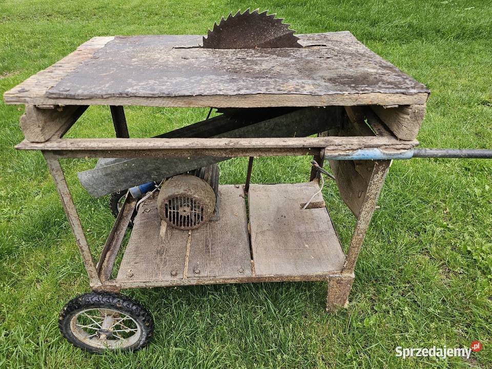 Krajzega piła stołowa 230v Tłukomy