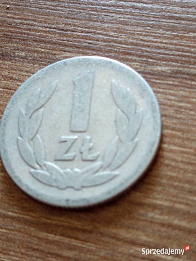 sprzedam piate 1 zl 1949 r bzm Numizmatyka Chełm sprzedam