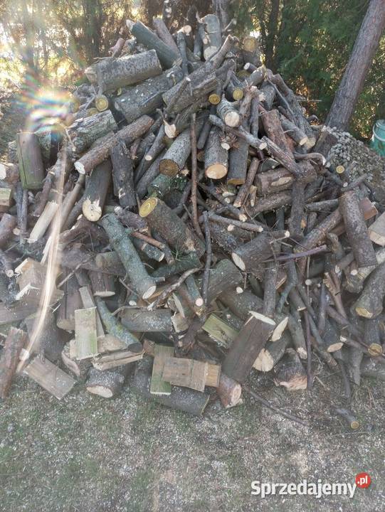 Drewno na opał