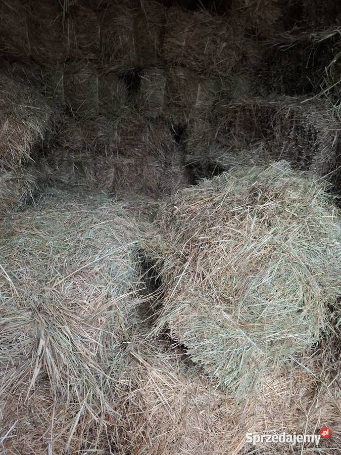Sprzedam siano kostka