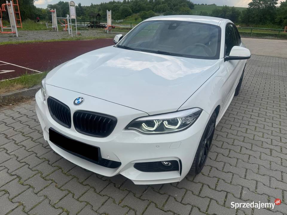 BMW 220i COUPE Salon MPakiet Super Stan Seria 2 Słomniki sprzedam