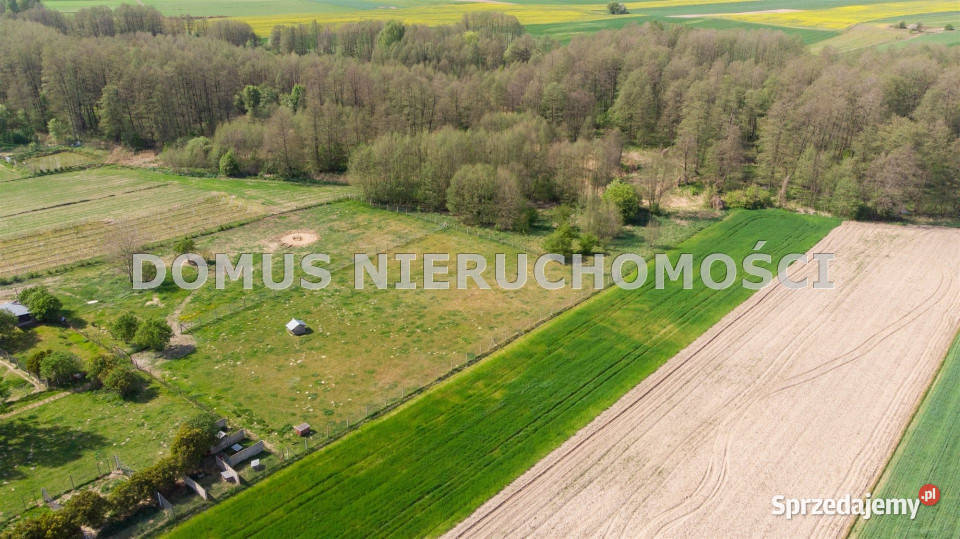 Działka 3416m2 Lubiska