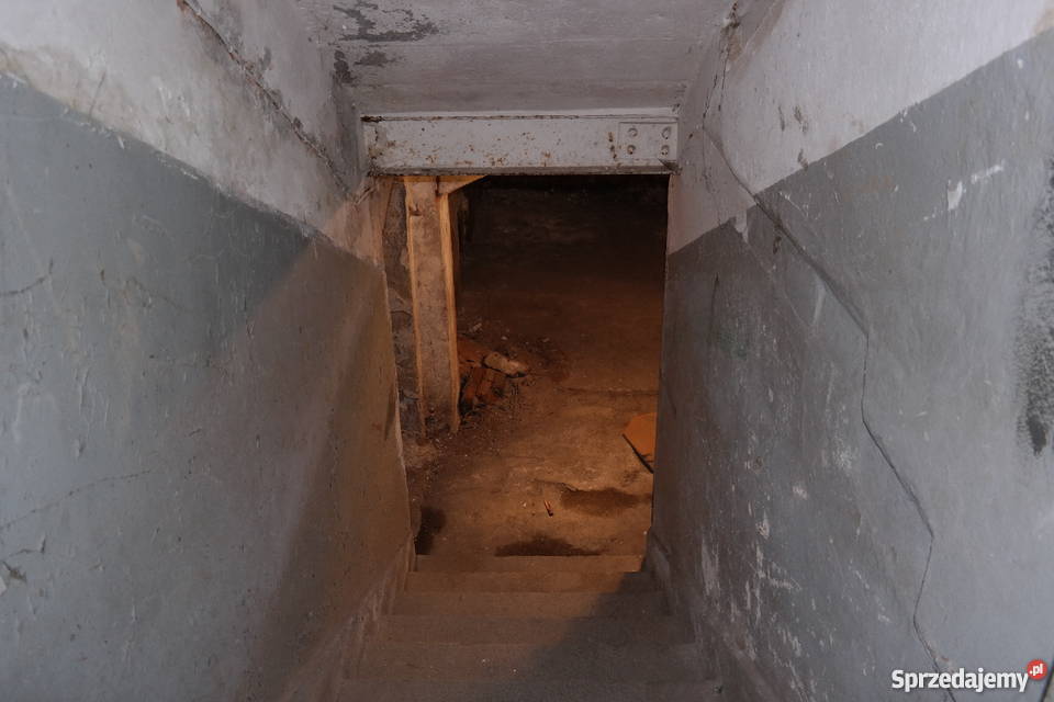 Sutereny w Nieruchomości Kętrzyn