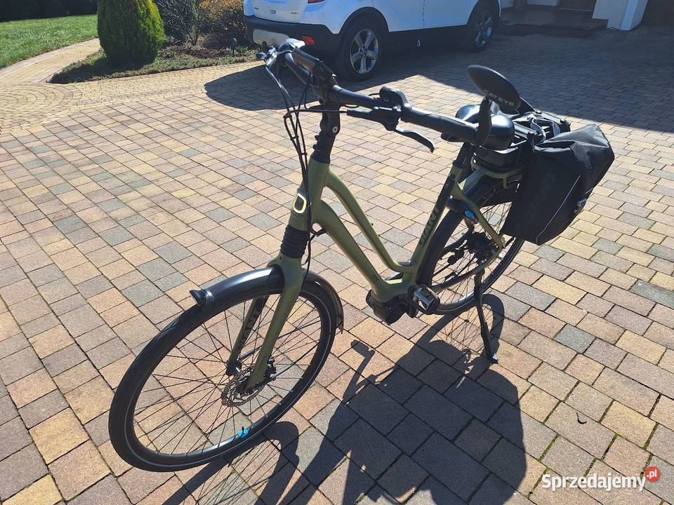 Rower damski Giant Wyry