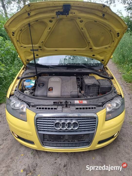 Audi a3 8p 5d manualna Rychwał